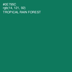 #0E795C - Tropical Rain Forest Color Image