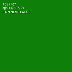 #0E7F07 - Japanese Laurel Color Image