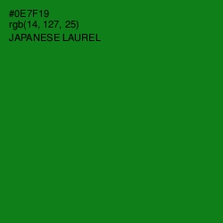 #0E7F19 - Japanese Laurel Color Image