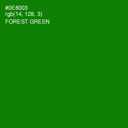 #0E8003 - Forest Green Color Image