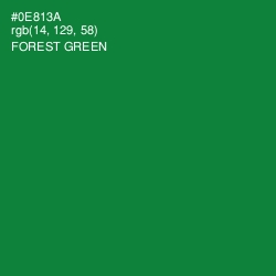 #0E813A - Forest Green Color Image