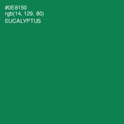 #0E8150 - Eucalyptus Color Image
