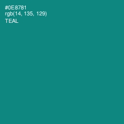 #0E8781 - Teal Color Image