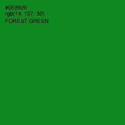 #0E8920 - Forest Green Color Image