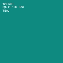 #0E8A81 - Teal Color Image