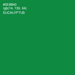 #0E8B40 - Eucalyptus Color Image