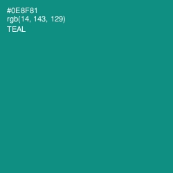 #0E8F81 - Teal Color Image