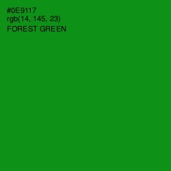 #0E9117 - Forest Green Color Image