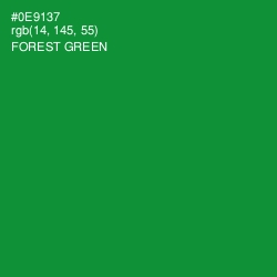 #0E9137 - Forest Green Color Image