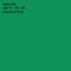 #0E915A - Eucalyptus Color Image