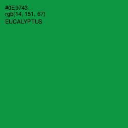 #0E9743 - Eucalyptus Color Image