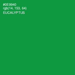 #0E9940 - Eucalyptus Color Image