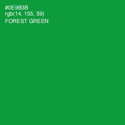 #0E9B3B - Forest Green Color Image