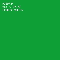 #0E9F37 - Forest Green Color Image