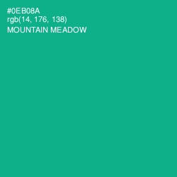 #0EB08A - Mountain Meadow Color Image