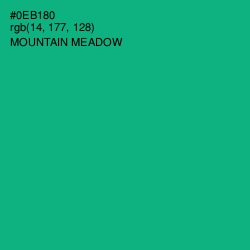 #0EB180 - Mountain Meadow Color Image