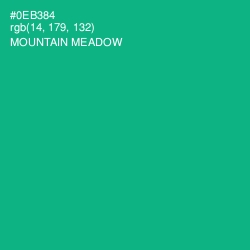 #0EB384 - Mountain Meadow Color Image