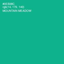 #0EB38C - Mountain Meadow Color Image