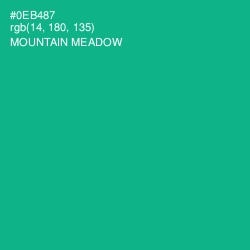 #0EB487 - Mountain Meadow Color Image