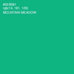 #0EB581 - Mountain Meadow Color Image