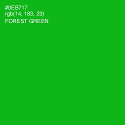#0EB717 - Forest Green Color Image