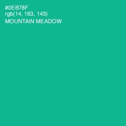 #0EB78F - Mountain Meadow Color Image