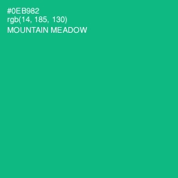 #0EB982 - Mountain Meadow Color Image