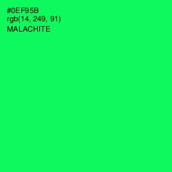 #0EF95B - Malachite Color Image