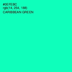 #0EFEBC - Caribbean Green Color Image