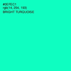 #0EFEC1 - Bright Turquoise Color Image