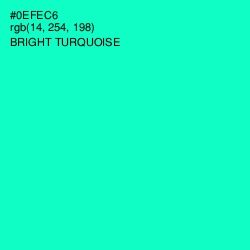 #0EFEC6 - Bright Turquoise Color Image