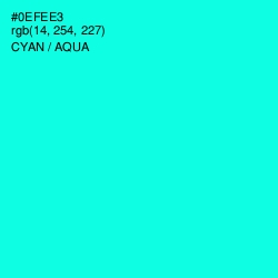 #0EFEE3 - Cyan / Aqua Color Image
