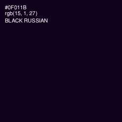 #0F011B - Black Russian Color Image