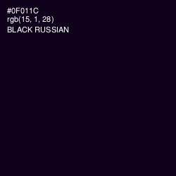 #0F011C - Black Russian Color Image