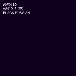 #0F011D - Black Russian Color Image