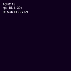 #0F011E - Black Russian Color Image