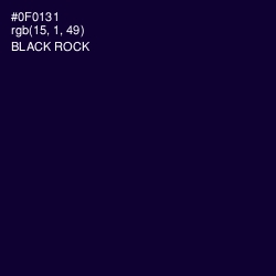 #0F0131 - Black Rock Color Image