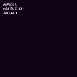 #0F0216 - Jaguar Color Image