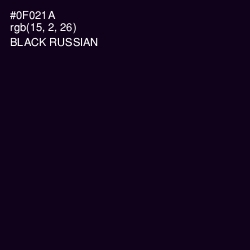 #0F021A - Black Russian Color Image