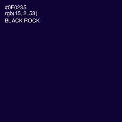 #0F0235 - Black Rock Color Image