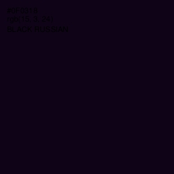 #0F0318 - Black Russian Color Image