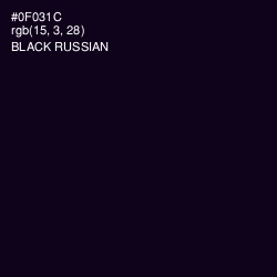 #0F031C - Black Russian Color Image