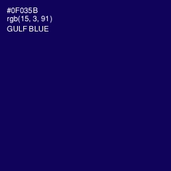 #0F035B - Gulf Blue Color Image