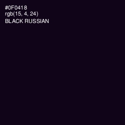#0F0418 - Black Russian Color Image