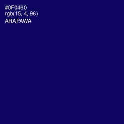 #0F0460 - Arapawa Color Image
