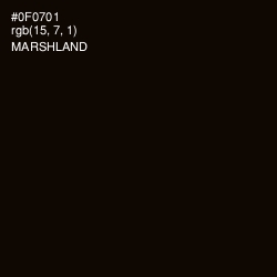 #0F0701 - Marshland Color Image