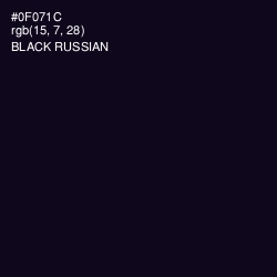 #0F071C - Black Russian Color Image