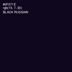 #0F071E - Black Russian Color Image