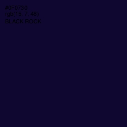 #0F0730 - Black Rock Color Image