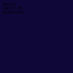 #0F0737 - Black Rock Color Image